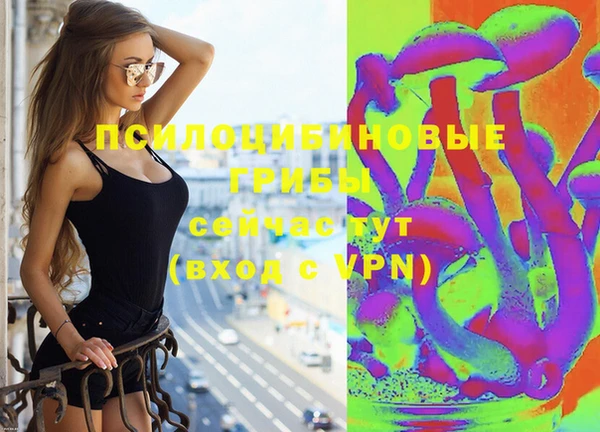 2c-b Верхний Тагил