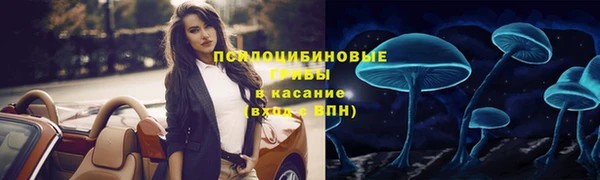 2c-b Верхний Тагил