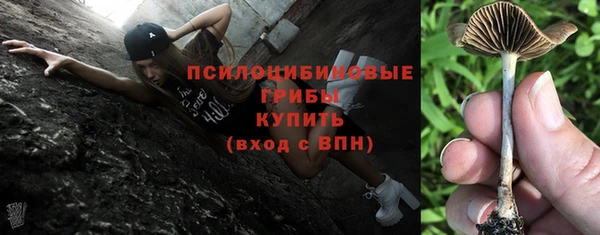 2c-b Верея