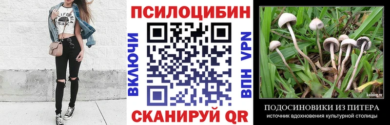 Псилоцибиновые грибы Magic Shrooms купить сайты Новороссийск